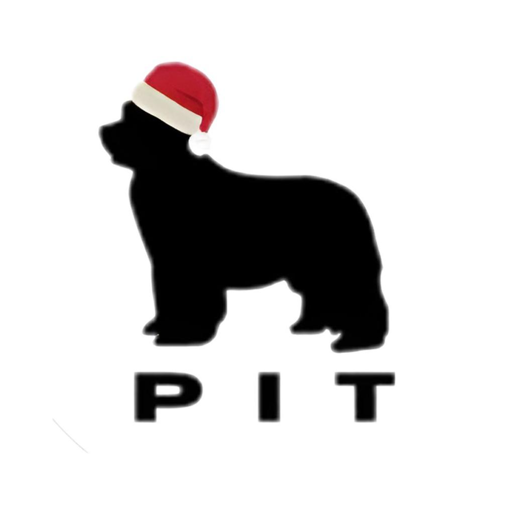 PIT CLOTHES - Feria MIA